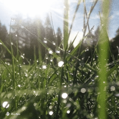 154006192.gif f4f62df8cacc2cbe69824e112f3e9da7_ZnVBTE1VR2swRWMySzRpVnVnL3JlVm1ZOWZHM0d0V08.gif