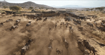154505342.gif 1c72f9227372b09e613e0c18b842fa76_59a4cc23b12541cb98b908e793ff3b60.gif