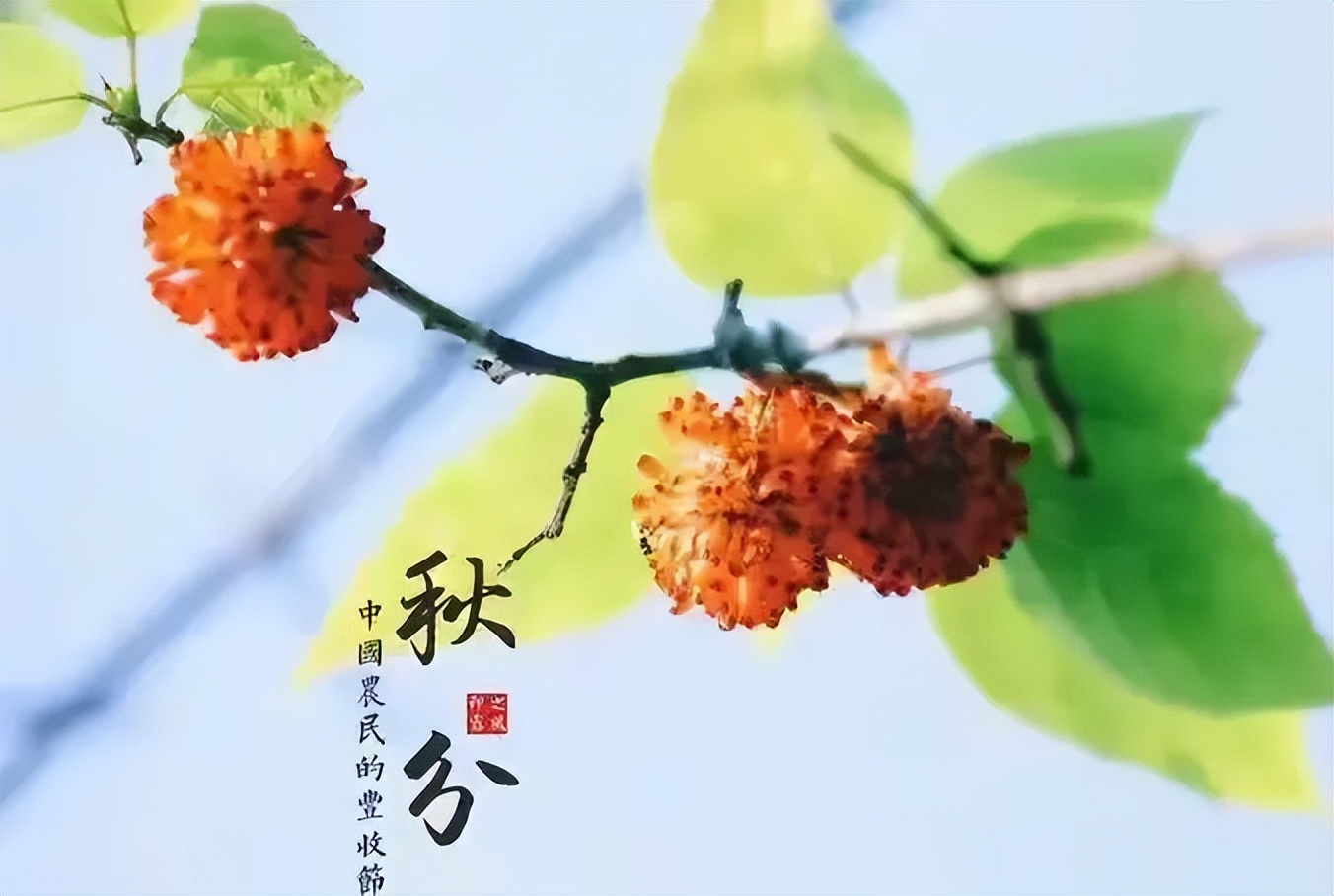 《东苑诗韵》9月诗辑（图14）