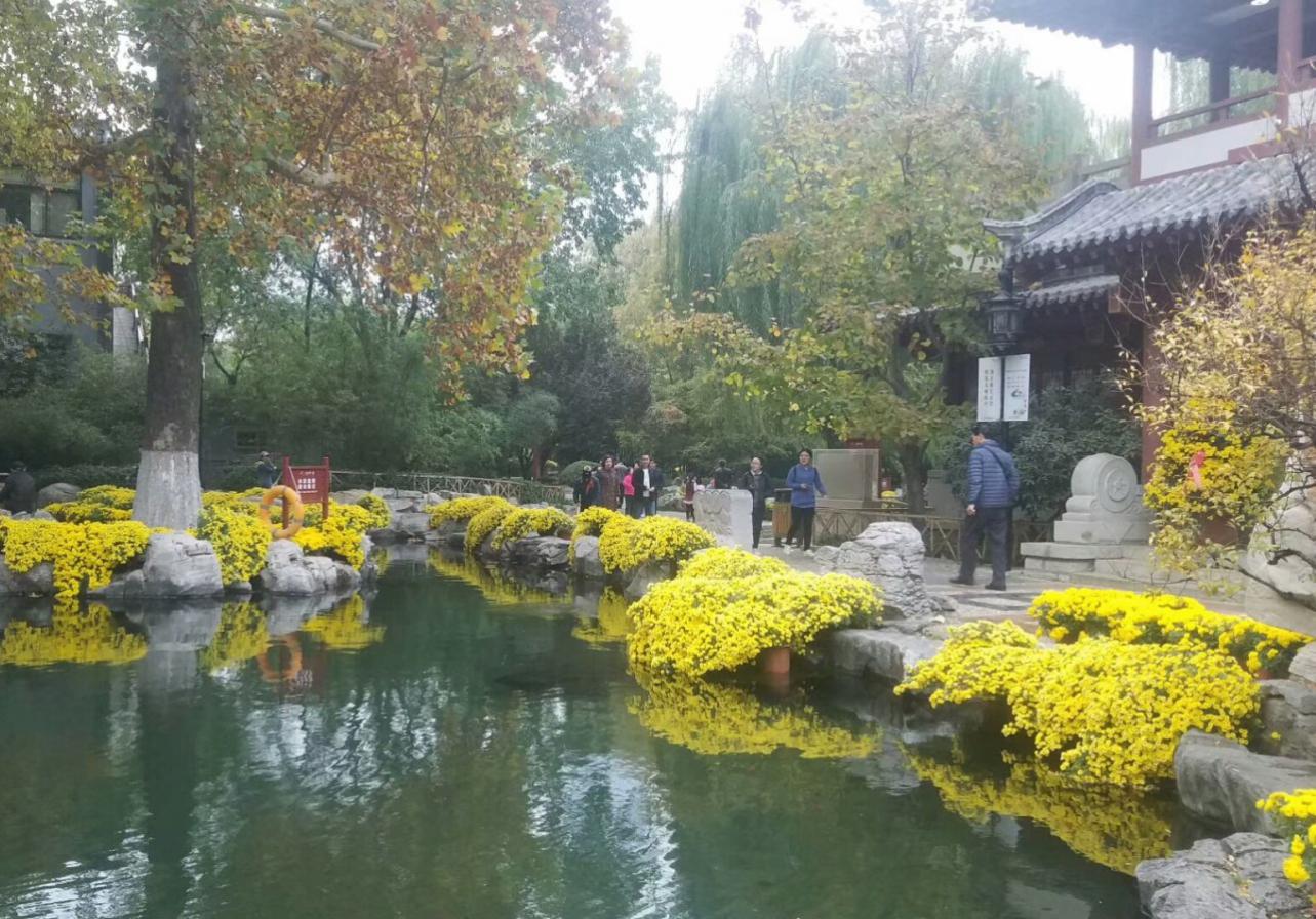 诗城词都‖雅阁六诗友唱和《泉边观菊》（图3）