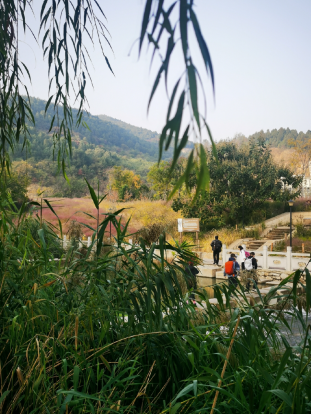 220906026.png image.png