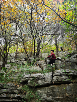 221201359.png image.png