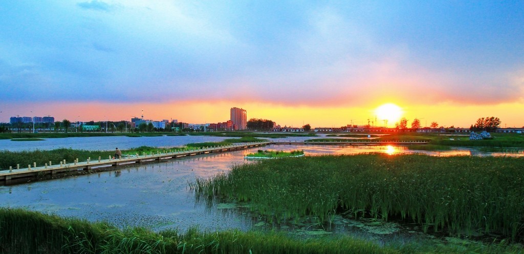 都市名家:孙义福夏津采风行草(图3)