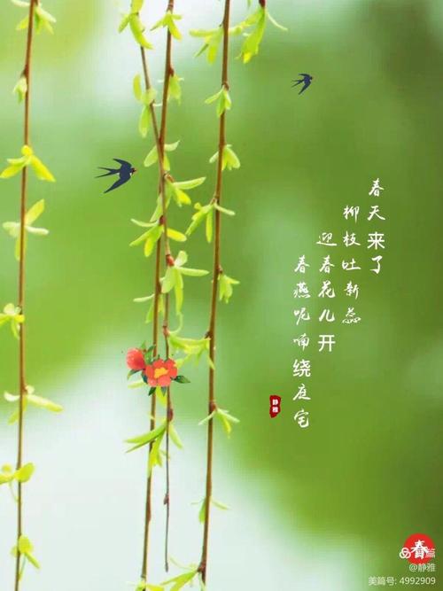 同题诵《春风来了》 作者:碑林路人(图7)