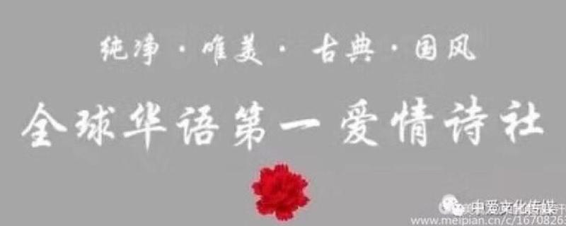 《中国爱情诗刊》【中国爱情诗歌】(第525期)新疆组稿工作站选送(组稿:图拉罕·托乎提)(图13)