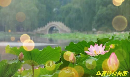 1581741571586080697.jpg 缈犲彾.jpg