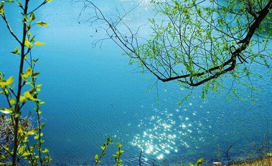 90D720CA-0152-494A-9335-DA2057B1F9EF.