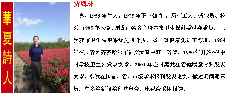 1581821219030054812.png 璐规捣鏋?.png