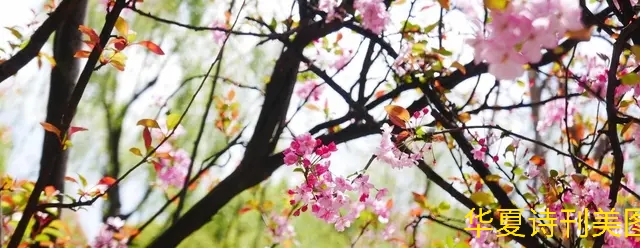 1582110082494013134.jpg D:\Documents and Settings\Administrator\u5997岄潰\u93c2板缓鏂囦欢澶筡IMG_20200127_091934.jpg