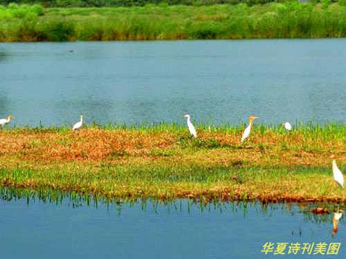 D:\Documents and Settings\Administrator\u5997岄潰\u93c2板缓鏂囦欢澶筡姝︽眽\u5a40垮湴.jpg
