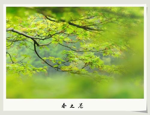 47B11A5C-6AE8-4038-A057-04F5BF96FF36.