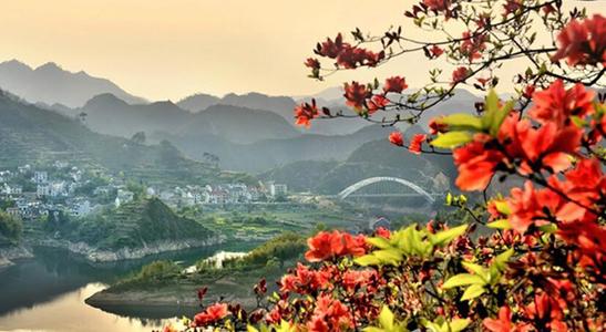 春暖花开.jpg
