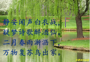 春雨.png