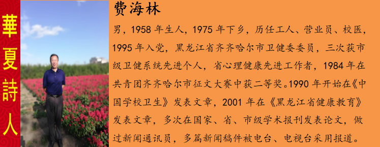 费海æ?.png