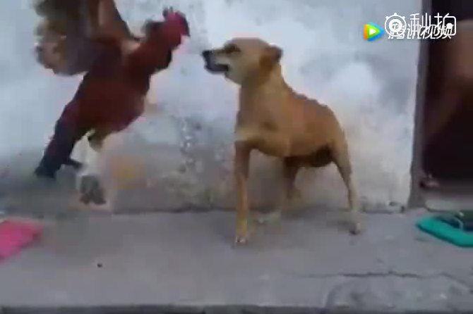 1582885278005029955.png