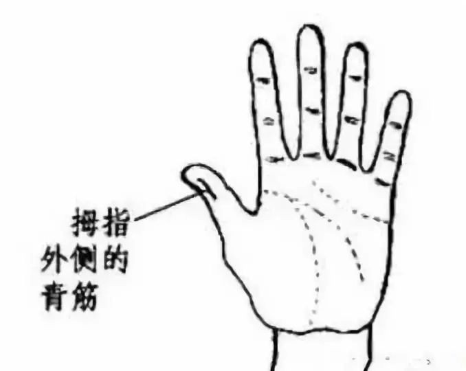 有一种手诊法,一上手就知道是什么病!
