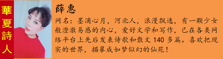 薛惠.png