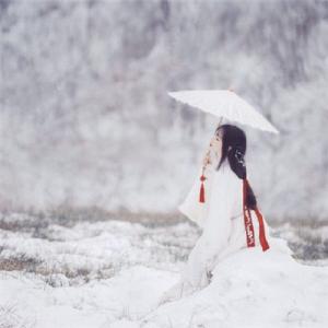 雪恋.jpg