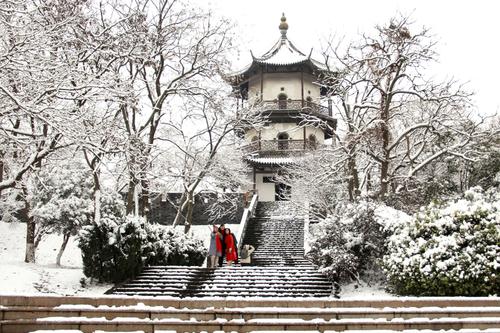 1583415565784049753.jpg 春日喜雪.jpg