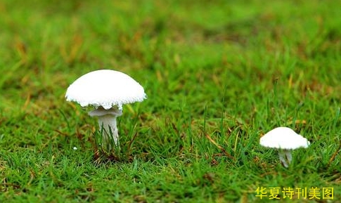1583638157279049121.jpg 风景.jpg