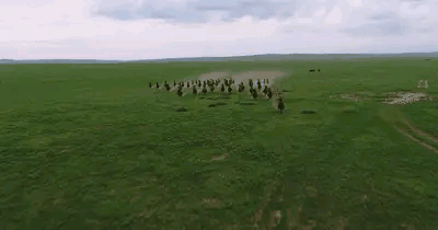 91VhkUiKzdCQIpke4NiqI3Do6Vs.cnt.