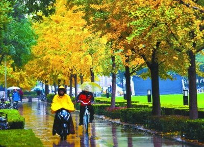 秋雨.jpg