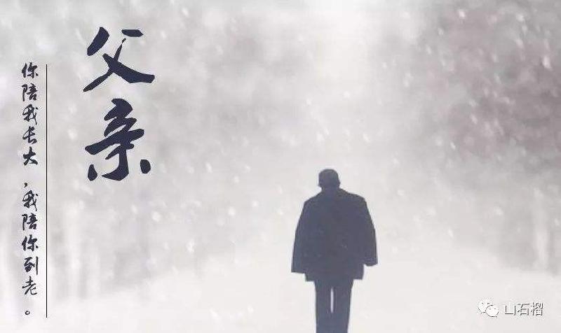 亲爱的父亲 ，我想你 作者/朗诵：海英（图6）
