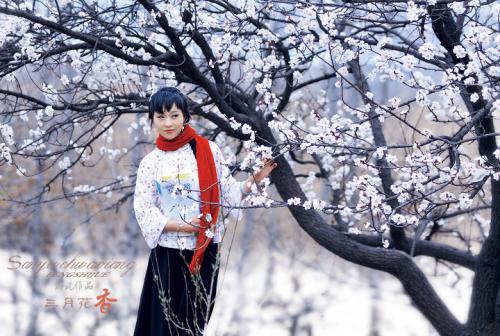 杏花.jpg