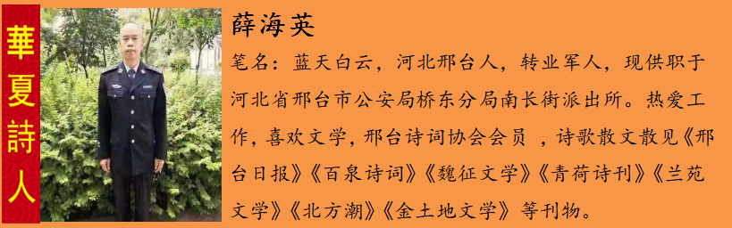 1585564437775096035.png 薛海è?.png