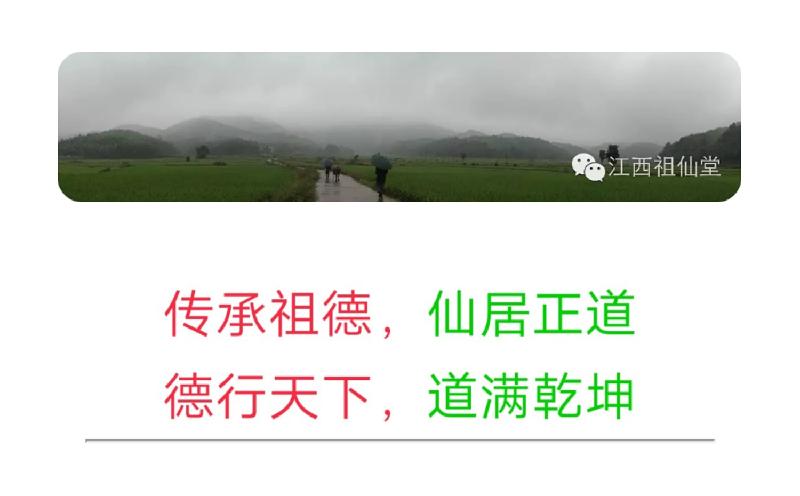 pt2020_03_31_14_08_10.