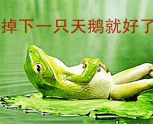 天鹅è?.gif