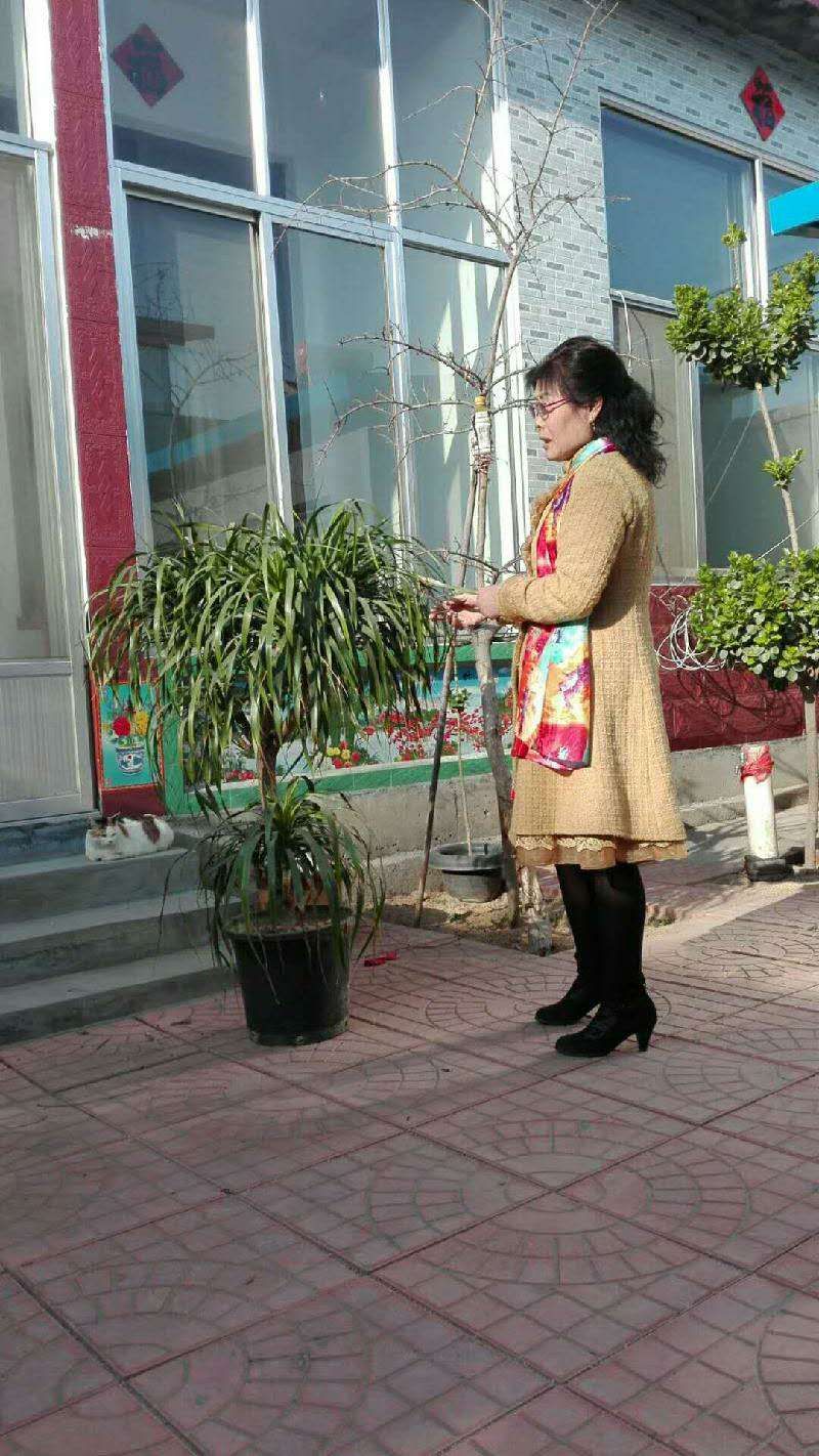mmexport1586006431086.