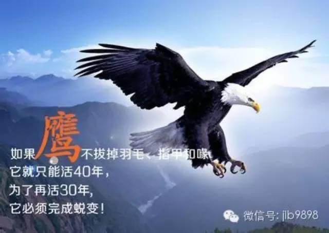 A69F5C90-1D14-4511-B3E4-9130B2B56067.