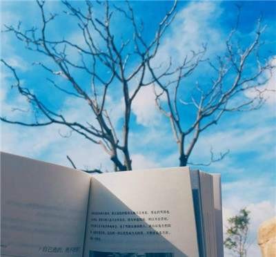 《中国爱情诗刊》【世界诗人在线】(第42期)河北诗人:王克金的诗(图3)