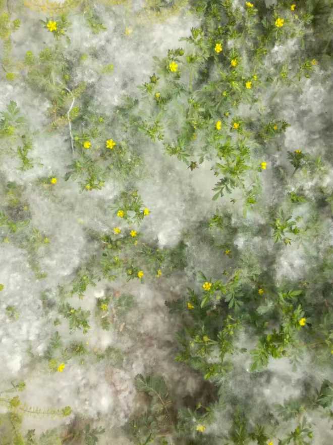 1586445276074.