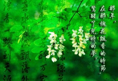 u_3384751112_1037428204&fm_193&app_53&size_w414&n_0&g_0n&f_.