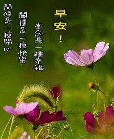 39965BED-C080-49EA-83B1-1DE5714223C6.