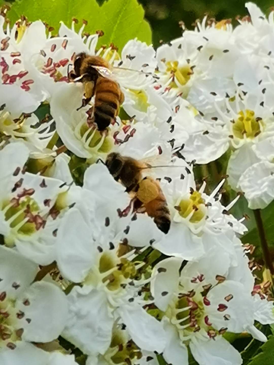 寰俊鍥剧墖_20200418190159.jpg