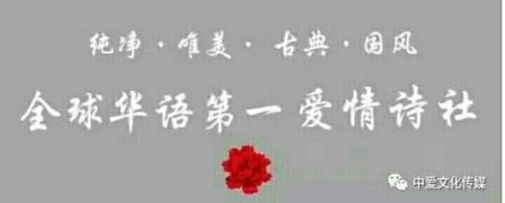 《中国爱情诗刊》【中国爱情诗人档案】(第1552期)黑龙江诗人:冬至的诗(图9)