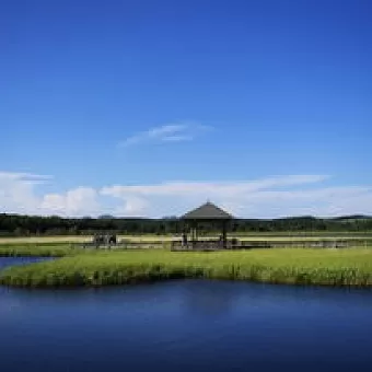 五绝五首   诗/佛子   都市头条—西银头条   传播正能量