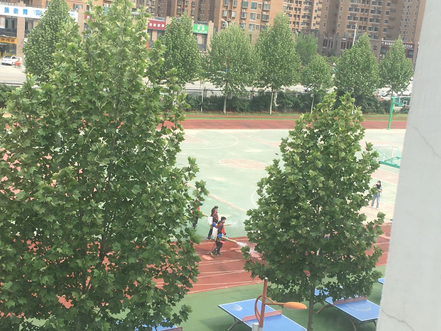 寰俊鍥剧墖_20200421211338.jpg