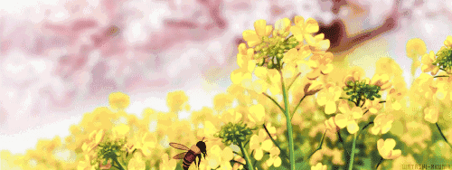 1588679114911092537.gif wKgCG157DWGAHiD-AArHSP0zkYY745.gif