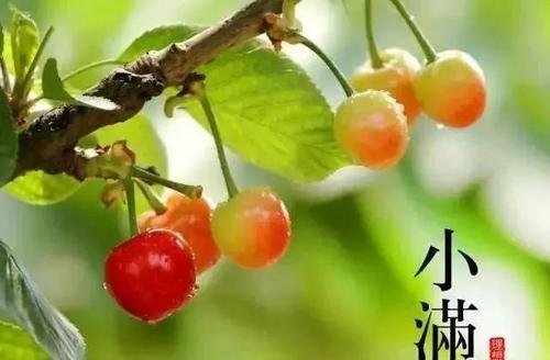 B12D03BF-0FFB-40D7-B931-2543E35760AC.