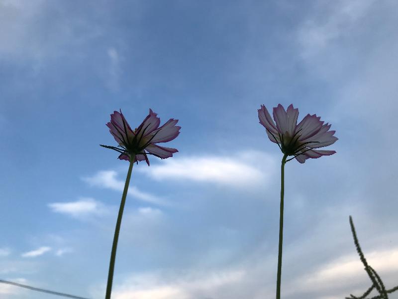 感悟