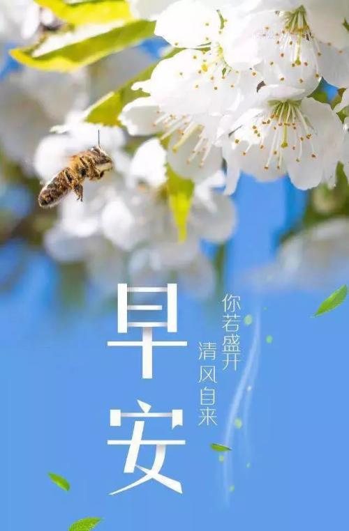 清晨和风作者庄子蝶一金牌主播剑冬海燕精品文学总第五十六期