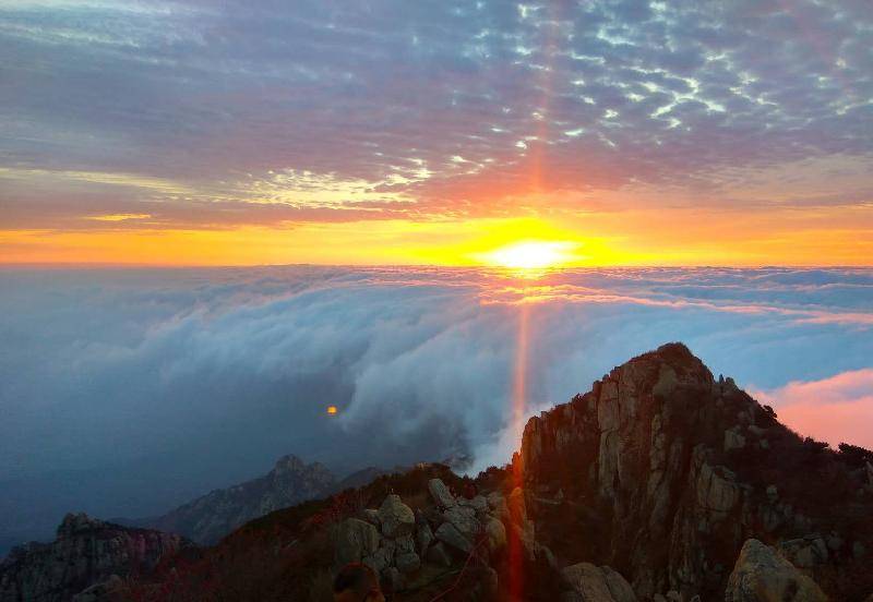 泰山观日出 登顶图片