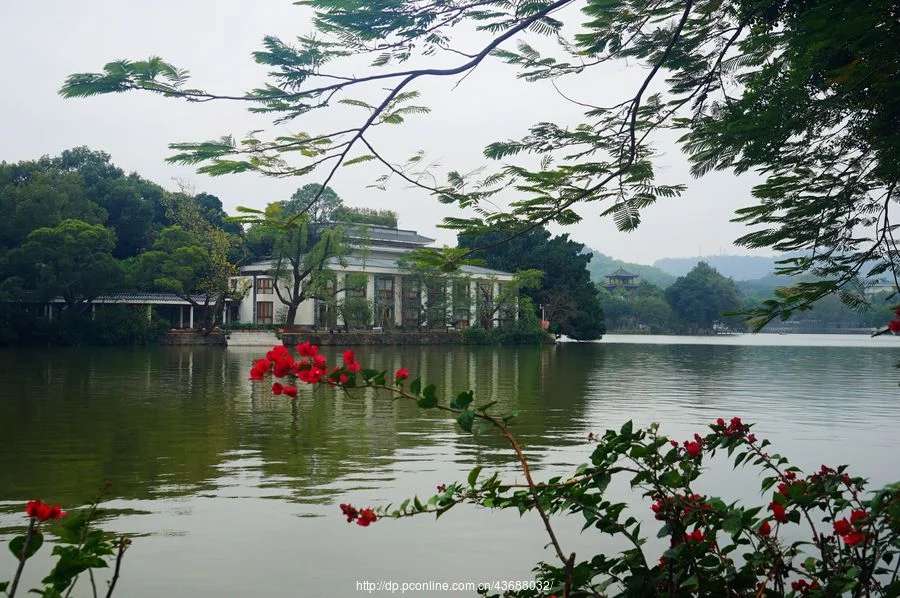 寰俊鍥剧墖_20200627104241.jpg