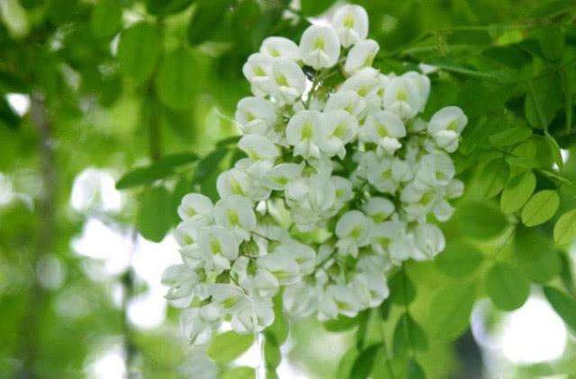 4BE55C89-7FCD-4509-B917-FC85F5B92110.