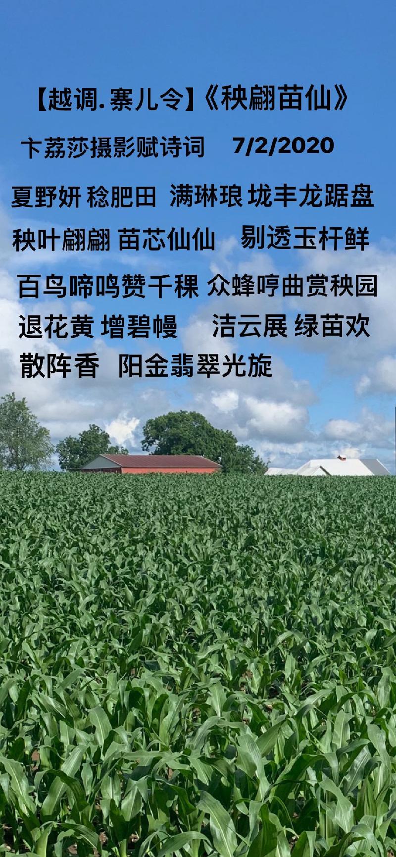 250438D0-5E70-4FE8-9522-9335D1943F29.