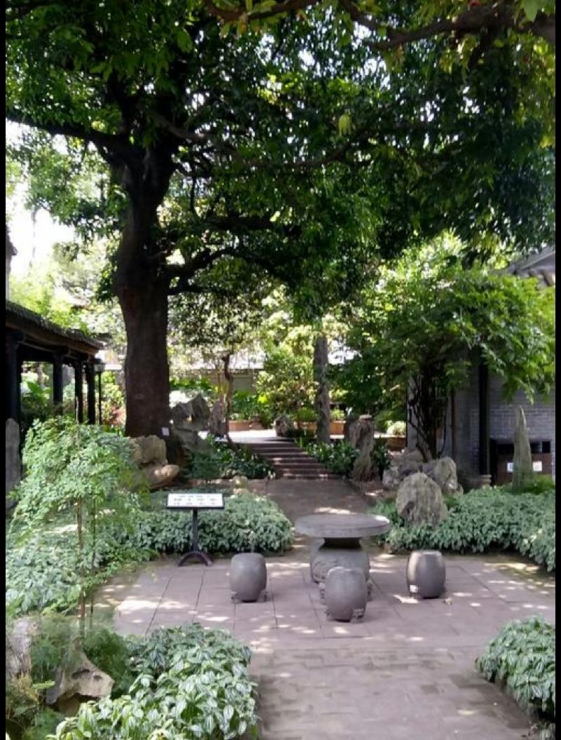 午间公园乐悠哉 作者 泰山一青松 主播 紫韵